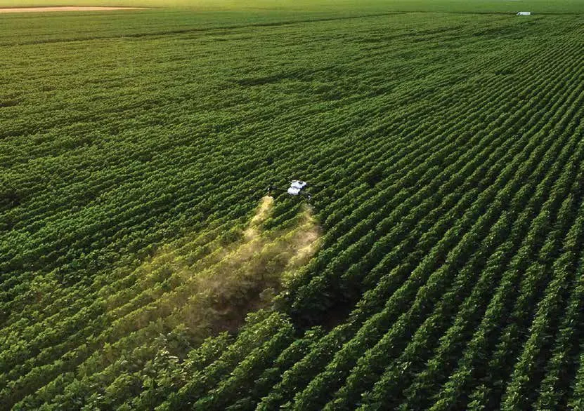 An ABZ drone spraying over rows of green crop